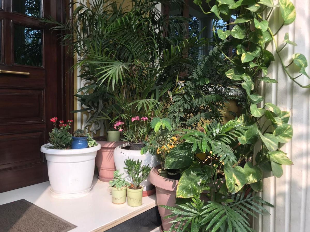 Jeenmount Heritage Boutique Hotel Τζαϊπούρ Εξωτερικό φωτογραφία